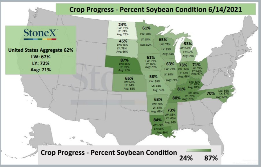 Condições das lavouras de soja nos EUA - Fonte: StoneX