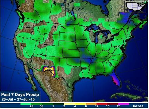 Acumulados de Chuvas nos últimos 7 dias nos EUA - Fonte: AgWeb