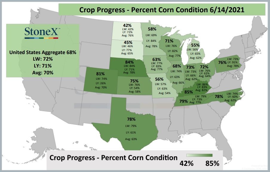 Condições das lavouras de milho nos EUA - Fonte: StoneX
