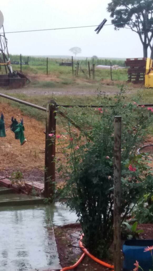Imagem do dia - Chuvas em Cruzália (SP), no Sítio São Pedro da Família Varolo