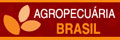 O Portal do Agroneg�cio Brasileiro