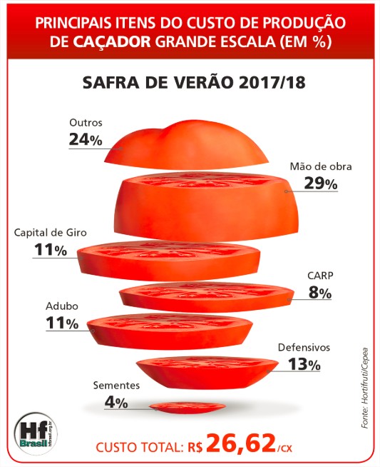 Custos de produção do tomate - HF Brasil