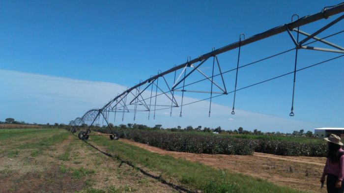 Imagem do dia - Avaliação do sistema de irrigação em Luís Eduardo Magalhães (BA)