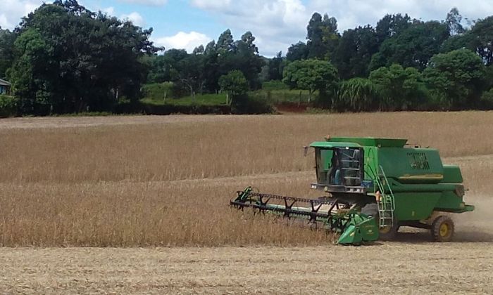 Imagem do dia - Colheita de soja em Porto Barreiro (PR), na Fazenda Dois Irmãos