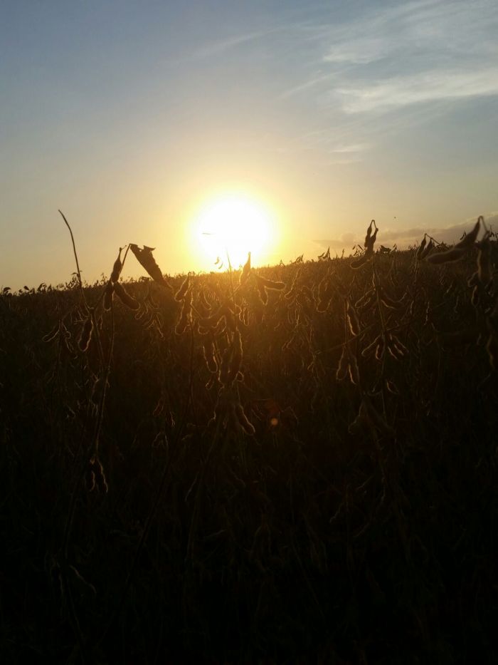 Imagem do dia - Pôr do sol em Minga Porã (PY). Enviado por Edimar Argenton