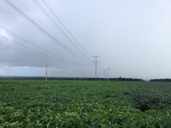 Imagem do dia -  Lavoura de soja na região do distrito de Boa Esperança do Norte (MT)