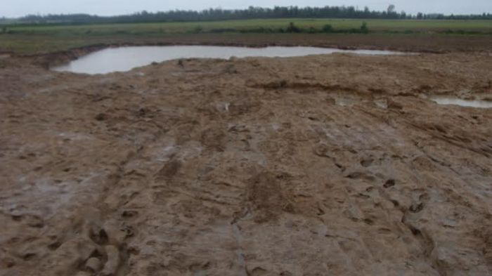 Imagem do dia - Área de plantio de arroz após enchente na região de Restinga Seca (RS). Envio do produtor Flávio Giuliani
