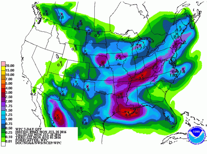 Chuvas previstas para os EUA entre 25 de julho e 1º de agosto - Fonte: NOAA