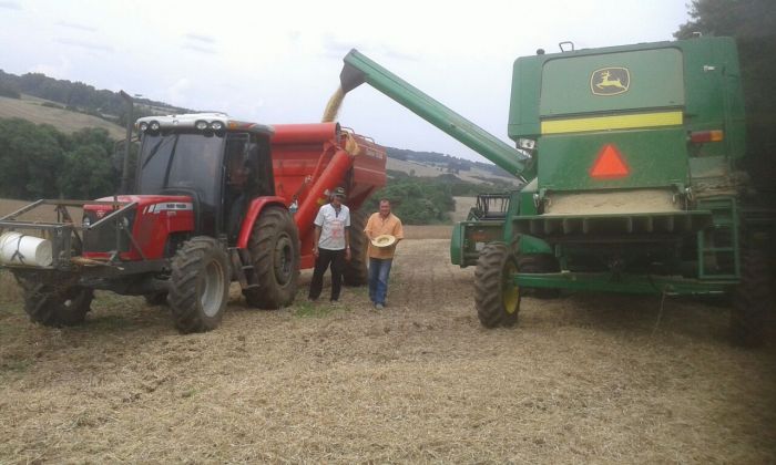 Imagem do dia - Fim da colheita de soja em Mato Castelhano (RS), da propriedade Narcizo Zancanaro