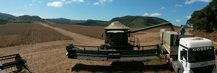 Imagem do dia - Colheita de soja em Mangueirinha (PR). Enviado pelo Técnico Agrícola Amilton do Patrocínio