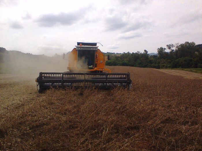 Imagem do dia - Início da colheita de soja em Mato Leitão (RS), do produtor Diego Posselt