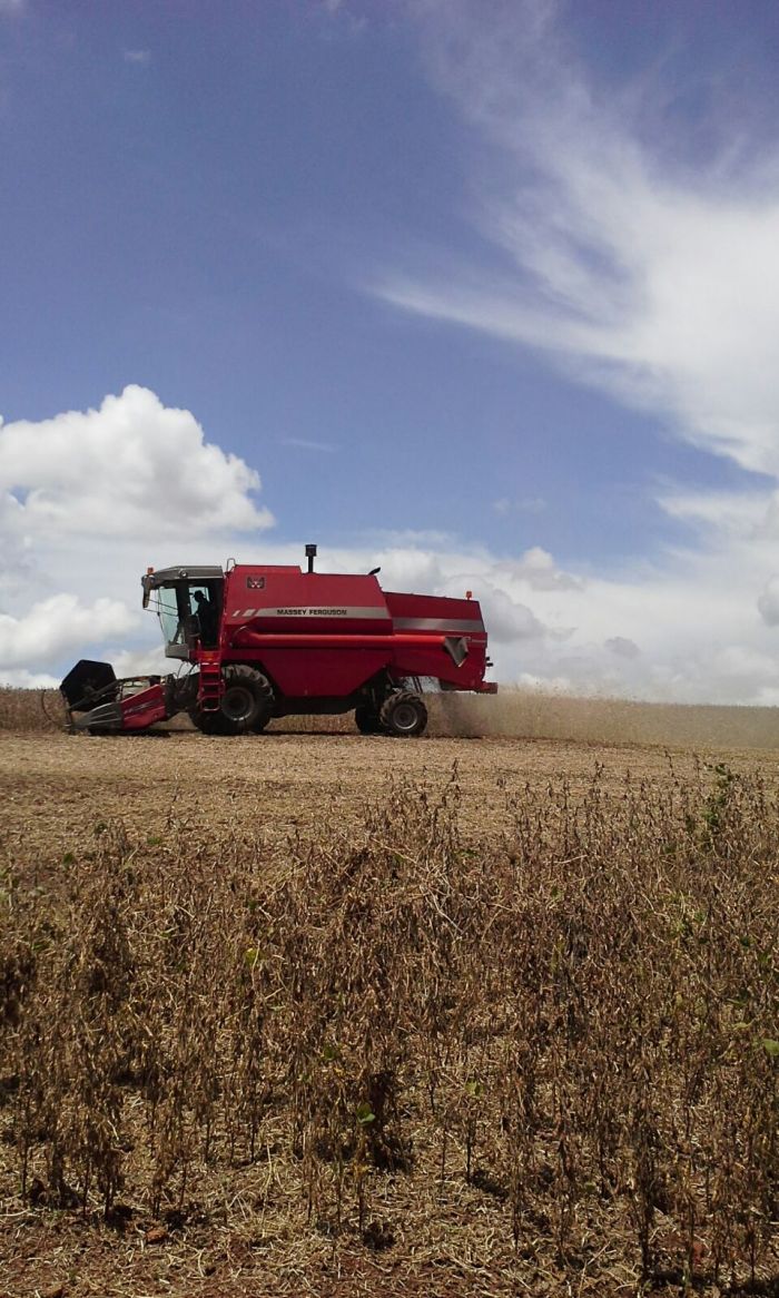 Imagem do dia - Início da colheita de soja em Pérola dOeste (PR), do produtor Cristiano de Conti