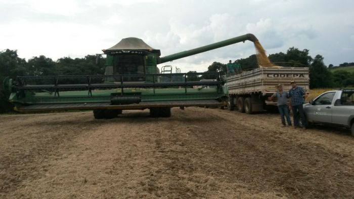 Imagem do dia - Colheita de soja em Mangueirinha (PR), do produtor Almiro Machado. Enviado pelo Técnico Agrícola Amilton do Patrocínio