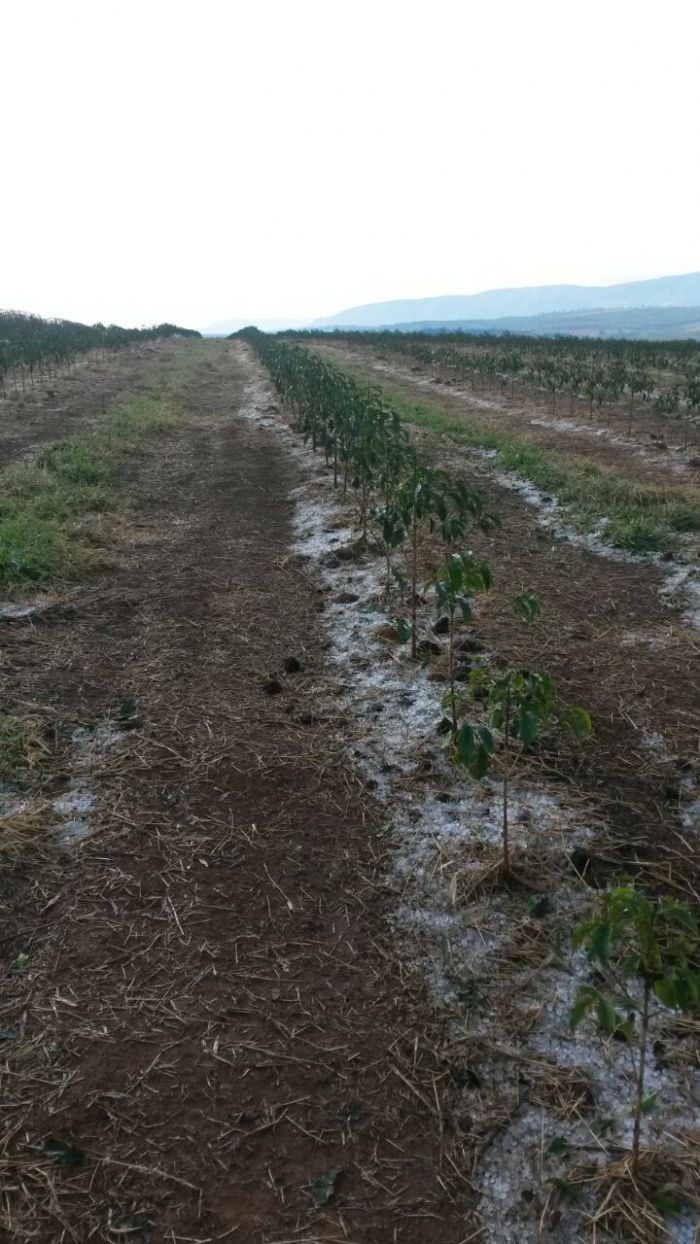 Chuva de granizo em Boa Esperança (MG) no último domingo (25) - Reprodução: Redes Sociais