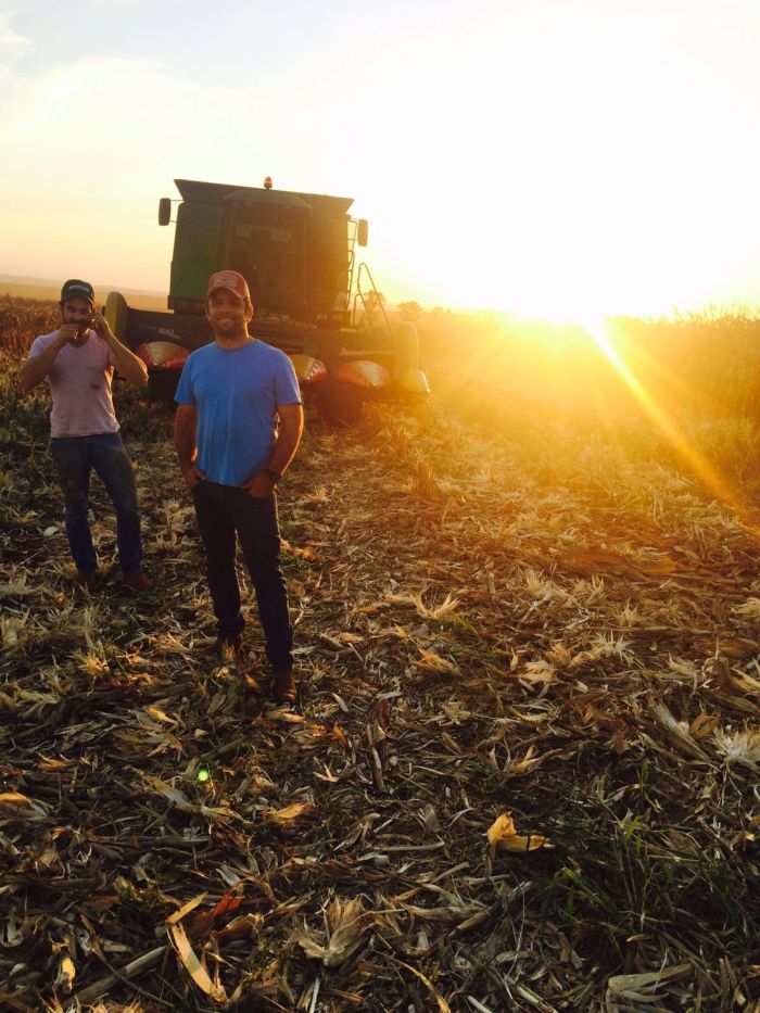 Imagem do dia - Colheita de milho em Rancho Alegre (PR), na Fazenda Água Nova