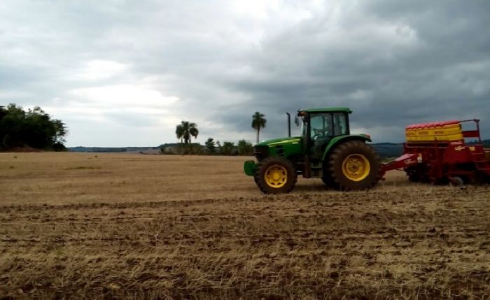 Imagem do dia - Plantio de soja em Sede Nova (RS), do produtor Pedro Amauri Werner