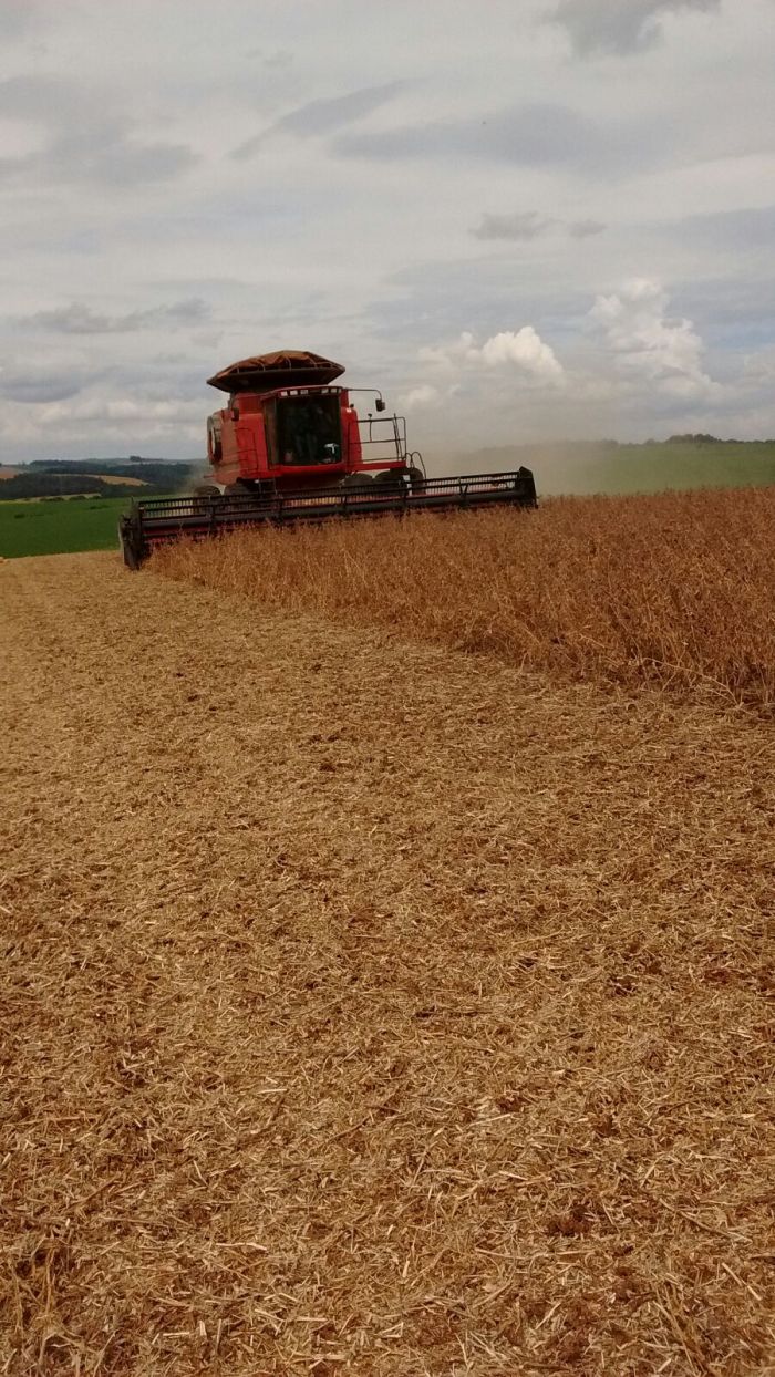 Imagem do dia - Encerramento de colheita de soja na Fazenda Santo Antônio em Pato Branco (PR), com 15% de quebra de produtividade. Foto enviada por Moacir Olivo