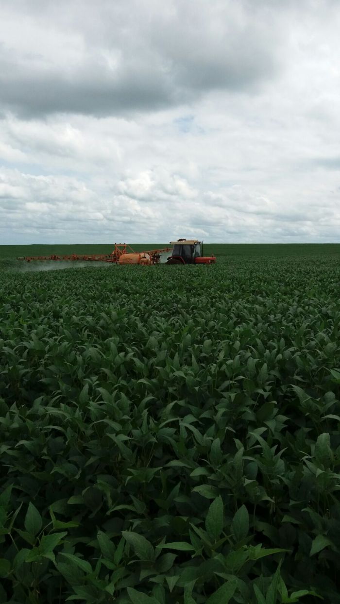 Imagem do dia - Aplicação de fungicida na lavoura de soja em Cruzália (SP), da Família Varolo
