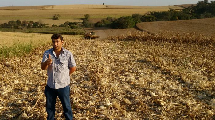 Imagem do dia - Colheita de milho safrinha em Ibiporã (PR), da Família Ferreira