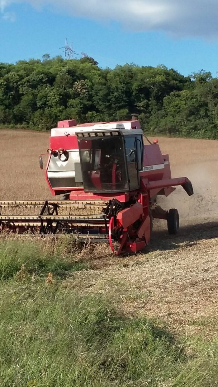 Imagem do dia - Finalizando colheita de soja em Cruzaltense (RS), dos Irmãos Zulian