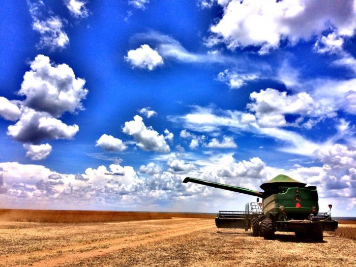 Imagem do dia - Colheita de soja em Primavera do Leste (MT). Enviado por João Paulo