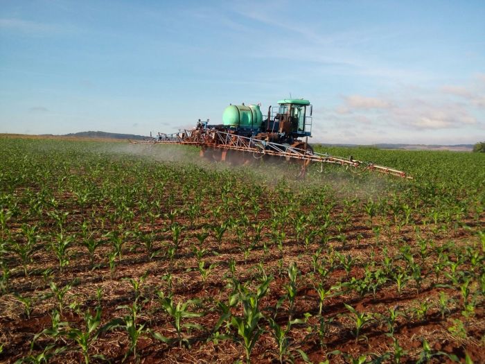 Imagem do dia - Aplicação de herbicidana lavoura de milho safrinha em Entre Rios do Oeste (PR), do produtor Carlos Felipe Backes