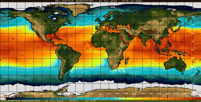 Imagem mostra aquecimento das águas do Pacífico em 28 de julho - Fonte: NOAA