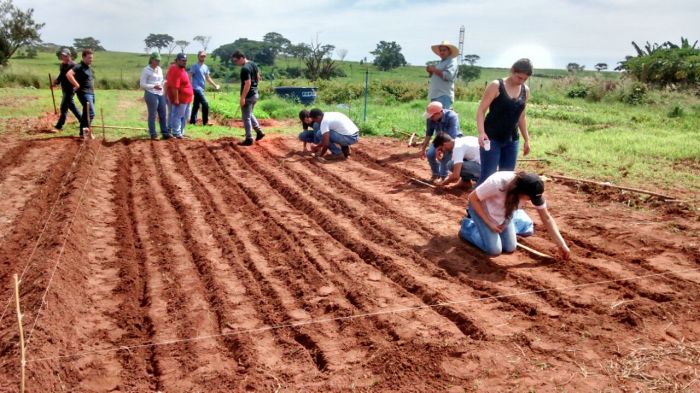 Imagem do dia  - Estudantes de agronomia da UNIRP em São José do Rio Preto (SP)