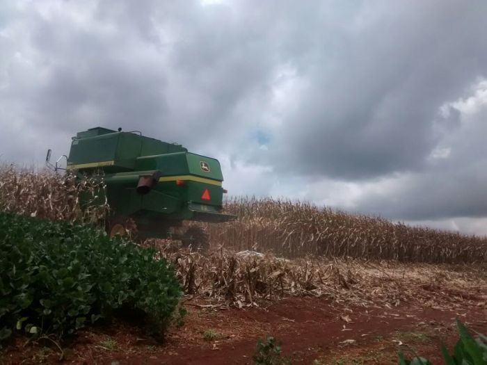 Imagem do dia - Colheita de milho em Sarandi (RS). Imagem de João Mateus Vargas de Oliveira