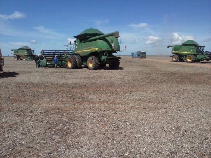 Imagem do dia - Colheita da soja em Luiz Eduardo Magalhães (BA). Enviada pelo Engenheiro Agrônomo Valdair da Rosa