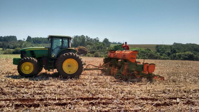 Imagem do dia - Plantio de milho em Marechal Cândido Rondon (PR), do produtor Eno Pedde. Envio do Engenheiro Agrônomo Darlan Verona