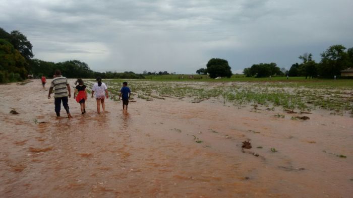 Imagem do dia - Chuvas intensas em Dourados (MS), na lavoura do produtor Luiz Zannata. Enviado por Mário Araújo.