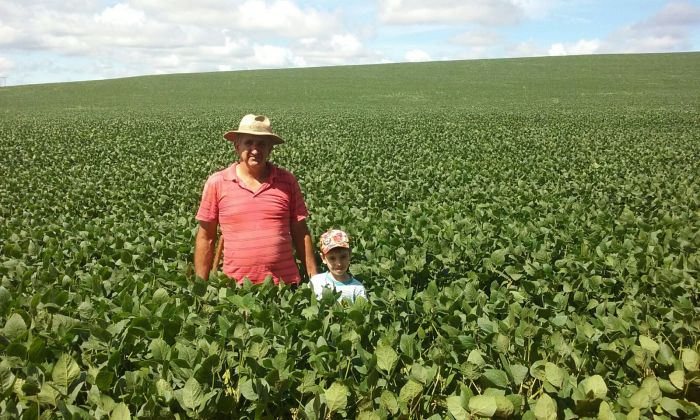 Imagem do dia - Itacir Scariot e o neto Luiz Otavio na lavoura de soja em Gentil (RS)