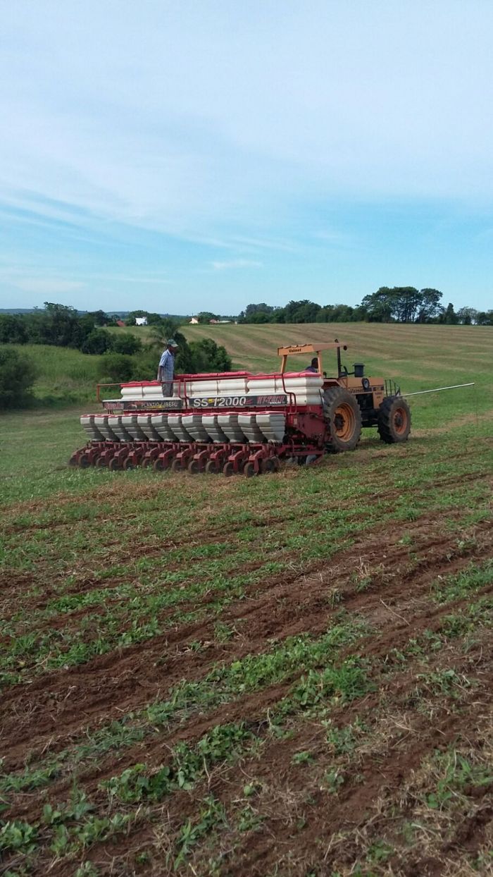 Imagem do dia - Plantio de feijão safrinha em Pântano Grande (RS). Enviado pelo Técnico Agrícola Celso Luis Bertoldi