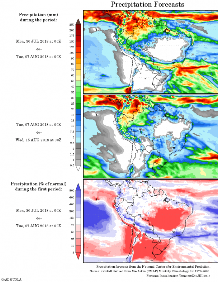 Mapa com a precipitação acumulada para o período de 30 de julho até 07 de agosto em todo o Brasil - Fonte: National Centers for Environmental Prediction/NOAA