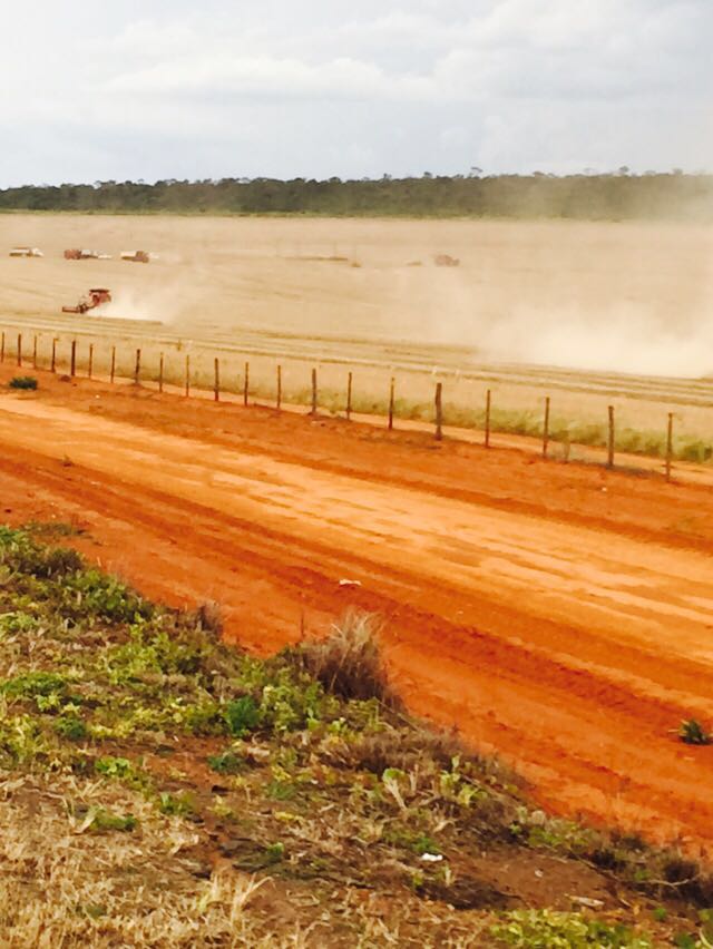 Imagem do dia - Colheita de soja em Formosa (GO). Enviado por Luiz Carlos Pereira