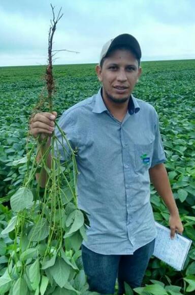 Imagem do dia - Lavoura de soja em São Desidério (BA), do produtor Devanir Bolonhini. Enviado pelo Técnico Agrícola Marcos Paulo