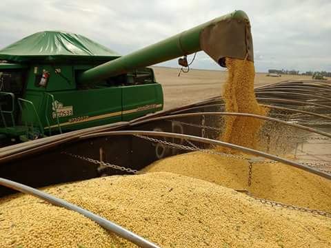 Imagem do dia - Colheita de soja em São Desidério (BA)