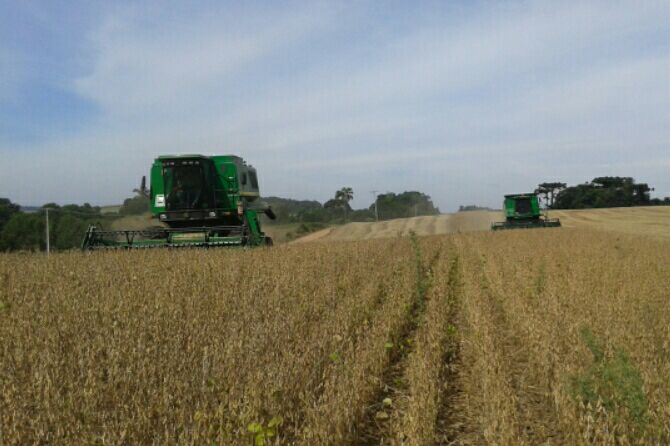 Imagem do dia - Colheita de soja em Marau (RS)