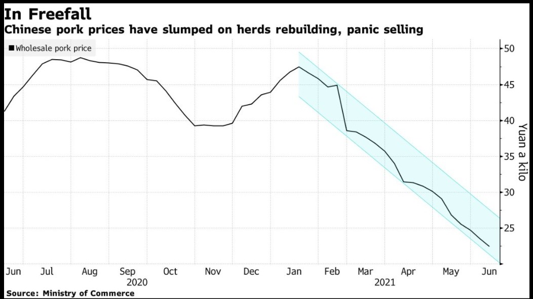 Preço do suíno em queda na China - Fonte: Bloomberg