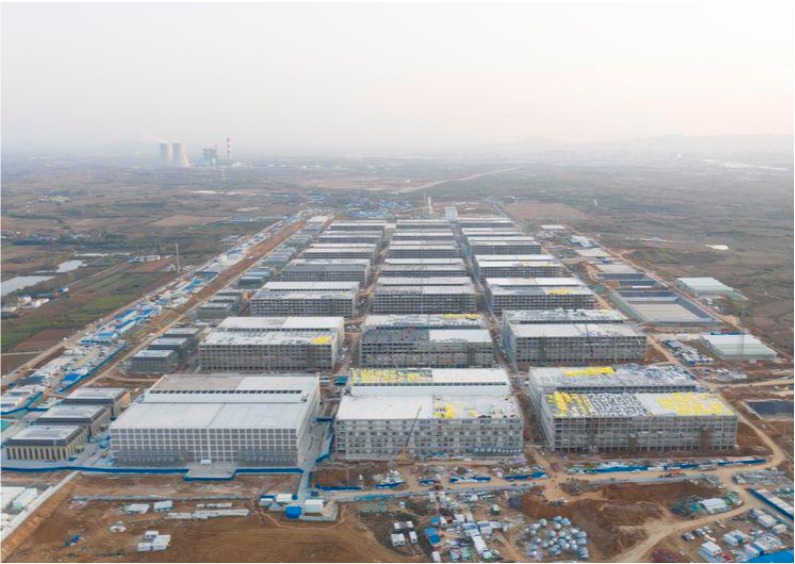 fazenda suínos china granja