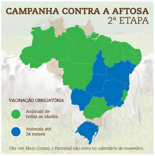 Campanha contra aftosa - MAPA