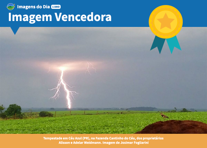 Imagem do dia - Vencedora