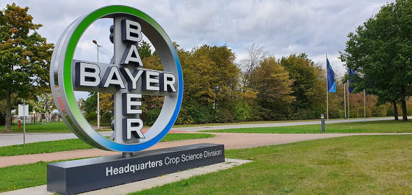 bayer logo
