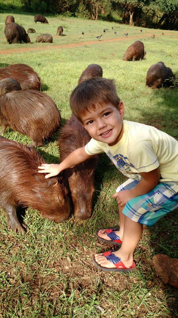 Imagem do dia - Cláudio José no rancho das capivaras em São Pedro do Butiá (RS)