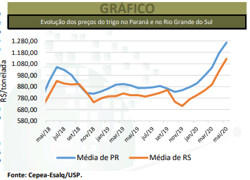 trigo cepea agrimensais maio 2020 1