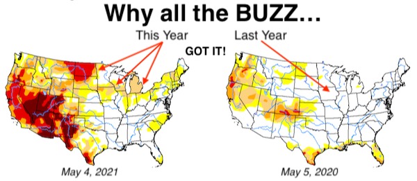 Drought Monitor Maio 2020 x Maio 2021