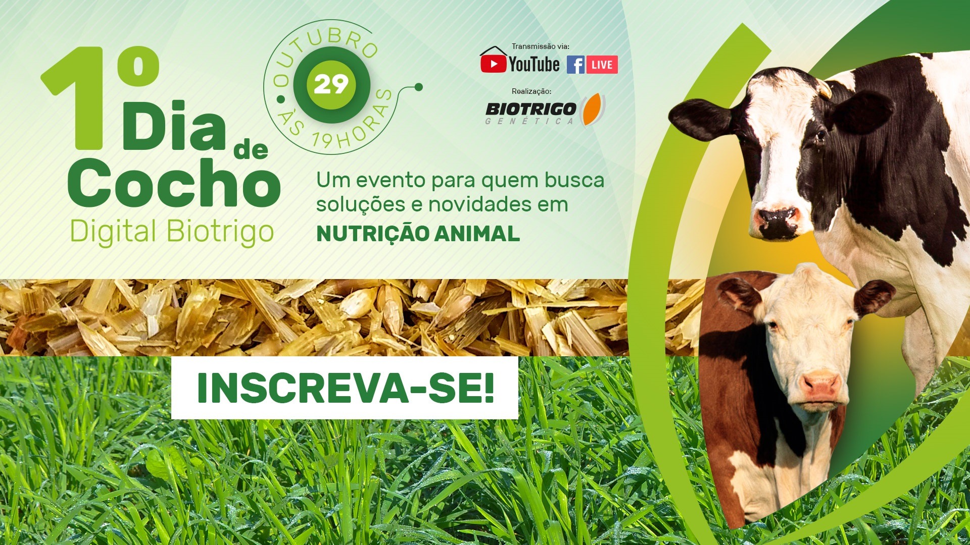 Dia de Cocho - Biotrigo