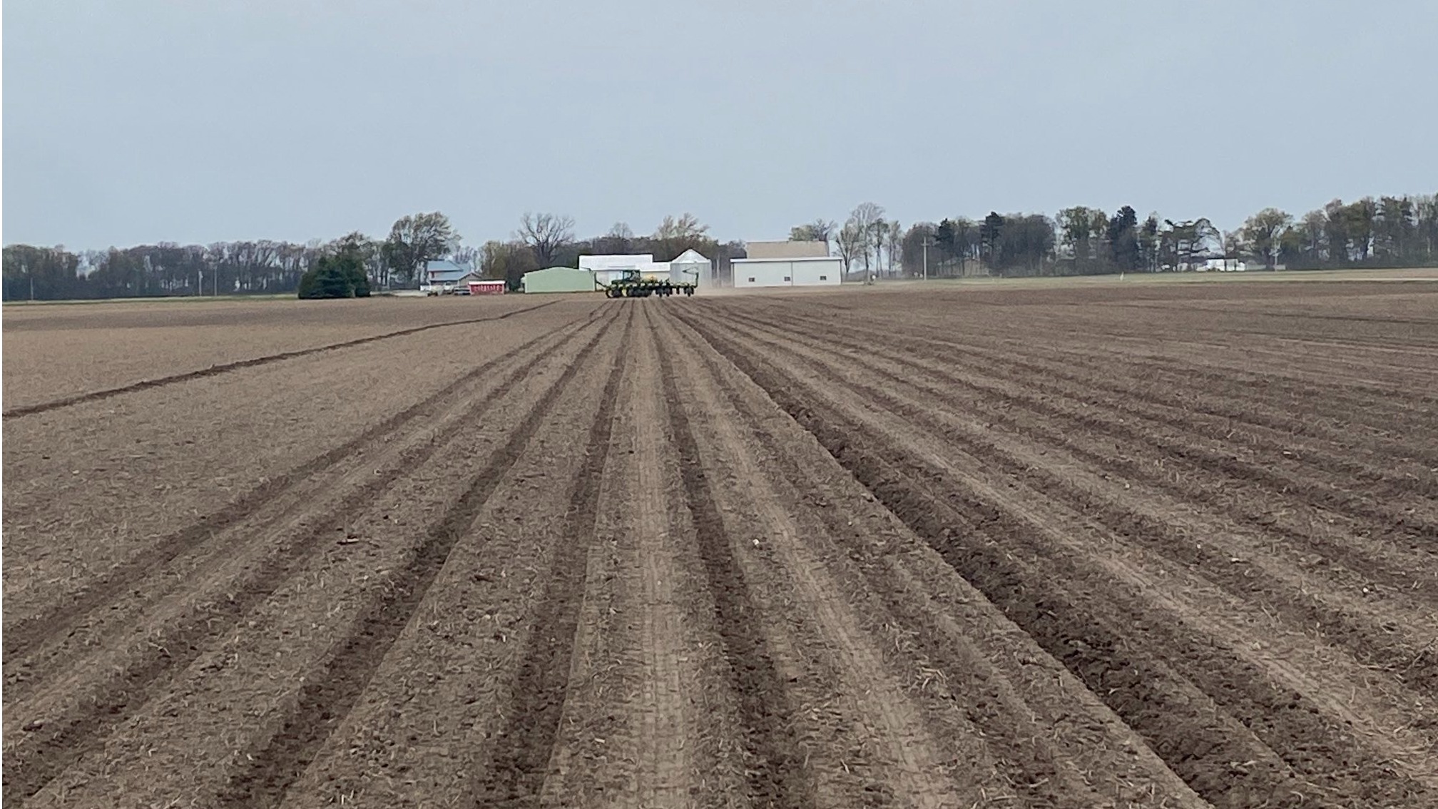 Plantio  2021/22 em Ohio nos EUA - Maio 2021