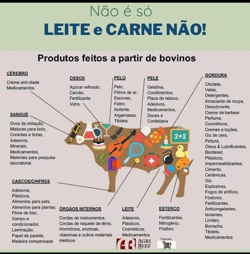 produtos feitos a partir do gado